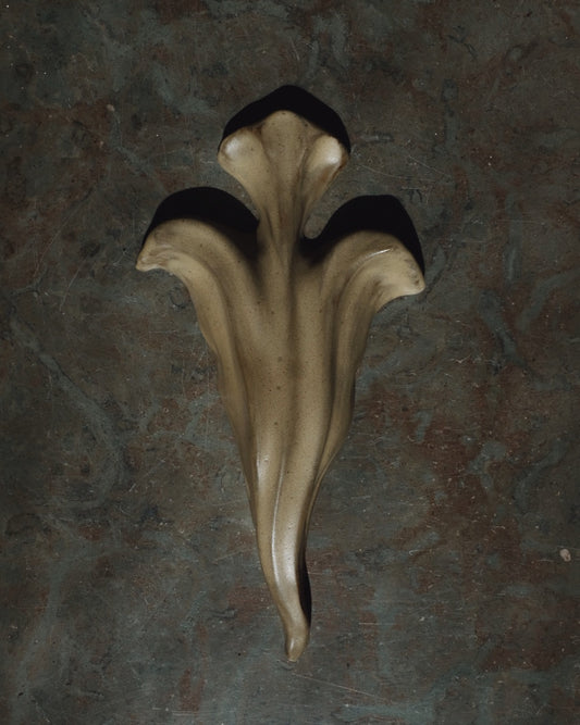 The Floral Collection - Wall Piece - Sand