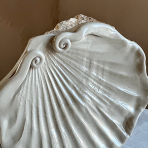 Shell, white swirl